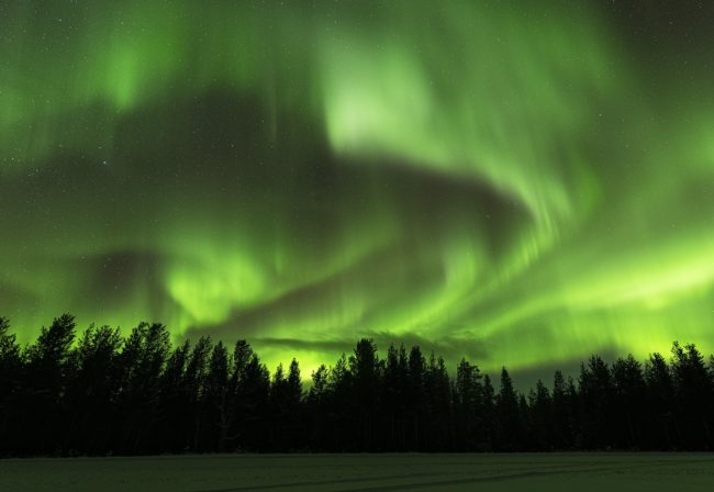 850_4481ресайз